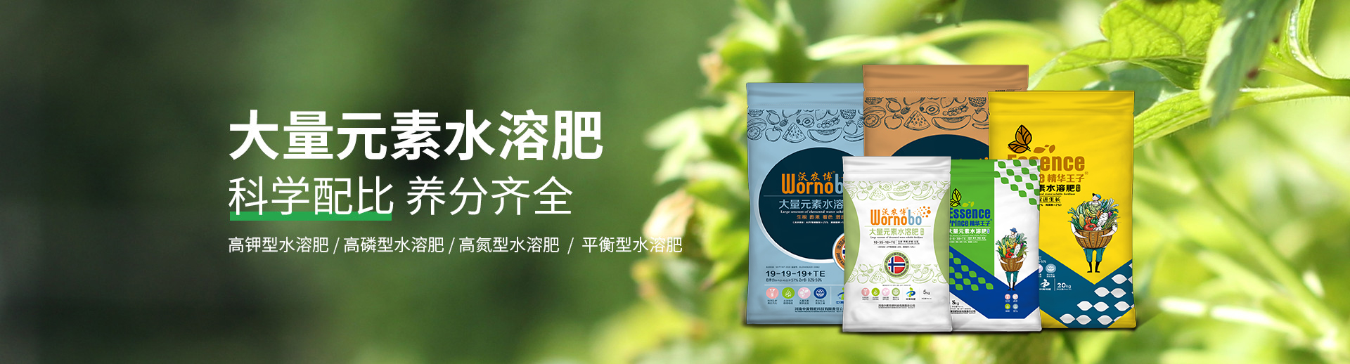 水溶肥料-大量元素水溶肥-含氨基酸水溶肥料-高塔復合肥-水溶肥生產(chǎn)廠家-河南中黃特肥科技有限責任公司